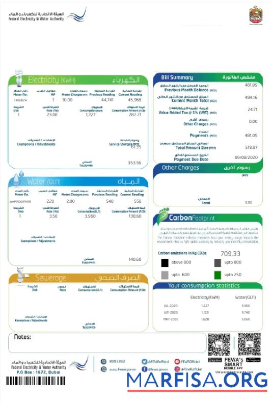 Blank UAE DUBAI FEDERAL ELECTRICITY & WATER AUTHORITY utility bill Word and PDF template